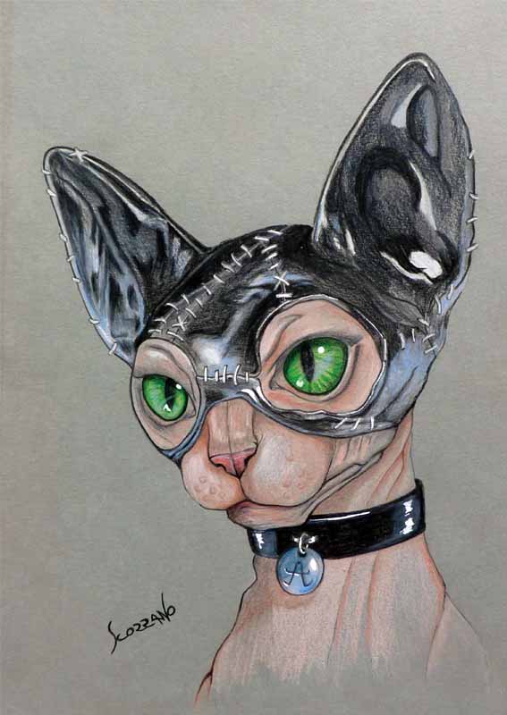 sphynx catwoman