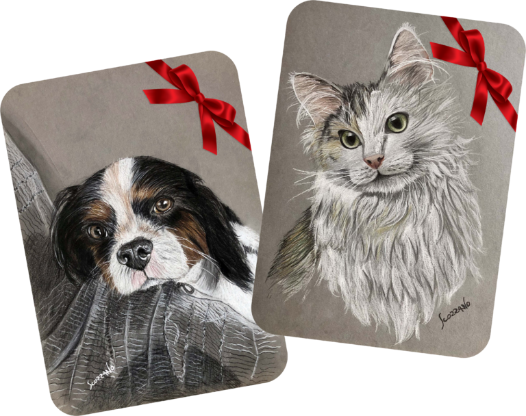 image accueil chien et chat