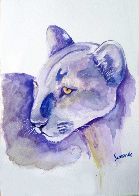 Panthère à l'aquarelle