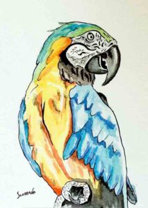 perroquet à l'aquarelle