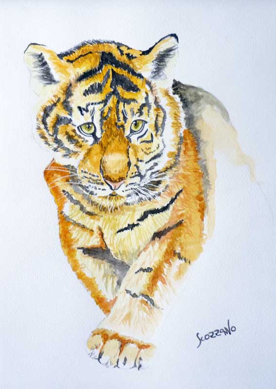 Tigre à l'aquarelle